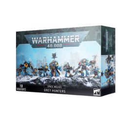 Warhammer 40 000 - Space Marines - Space Wolves - Chasseurs Gris