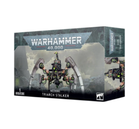 Warhammer 40000 - Xenos - Nécrons - Rôdeur du Triarcat