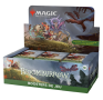 Bloomburrow - Display booster de jeu - Français