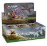 Bloomburrow - Display booster de jeu - Français