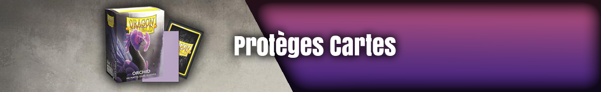 PROTEGE CARTE