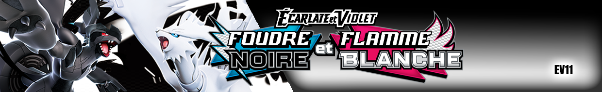 EV11 FLAMME BLANCHE FOUDRE NOIR